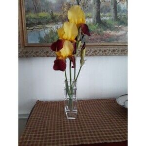 Heavy Crystal Bud Vase Rectangular Shape glass flower vase